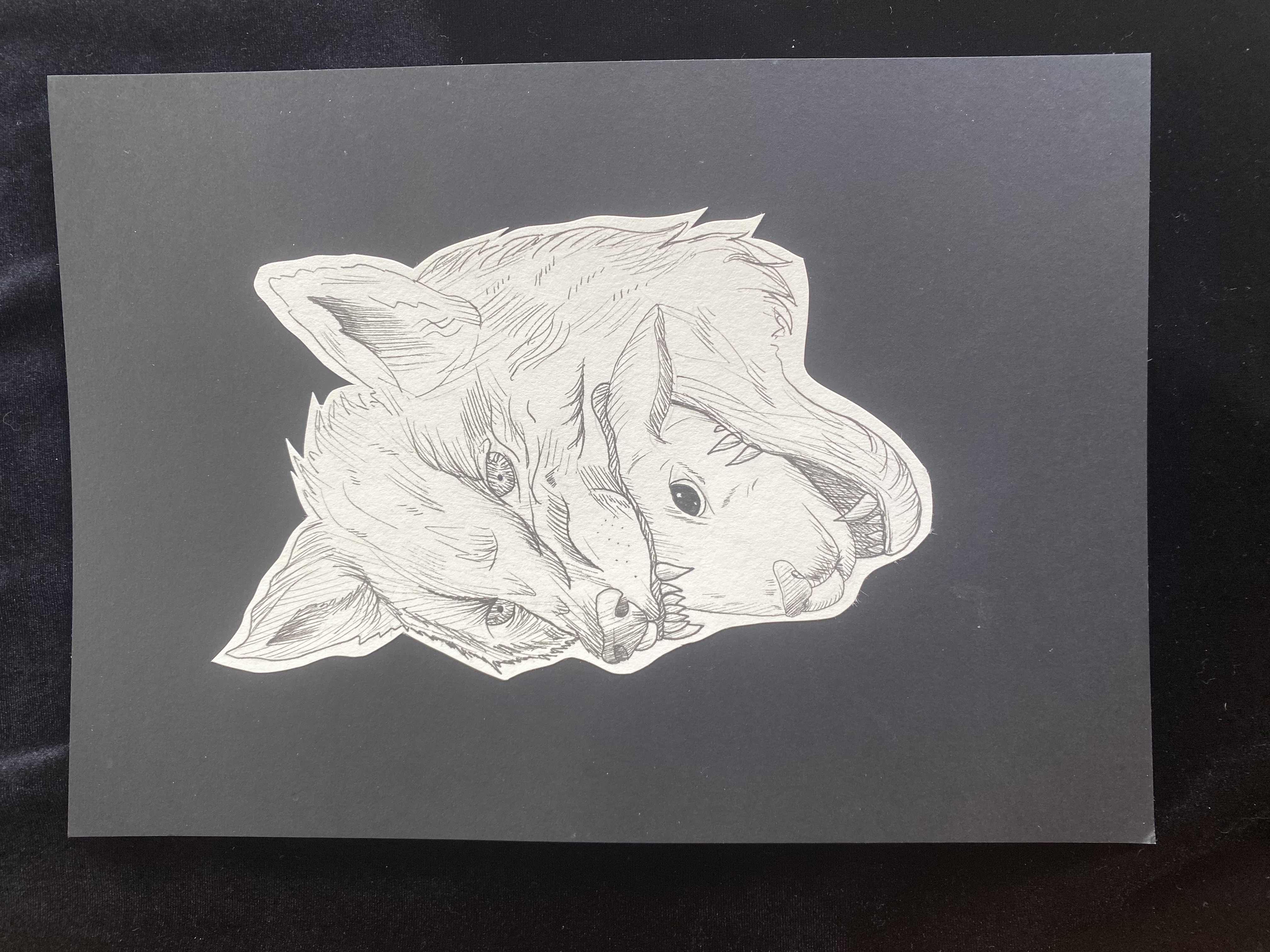 hybrid wolf